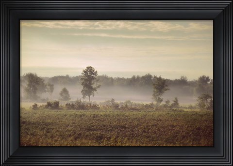 Framed Lifting Fog Print
