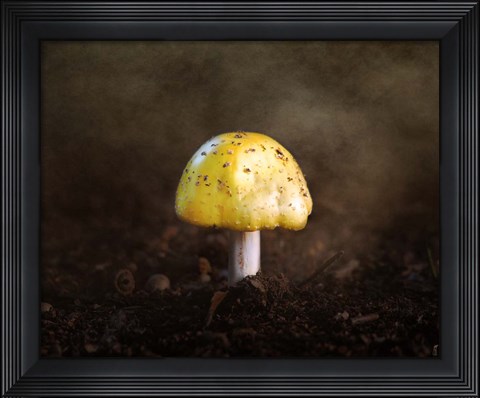 Framed Little Yellow Mushroom Print