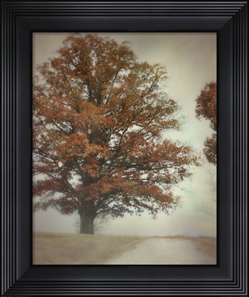 Framed Magnificence Print