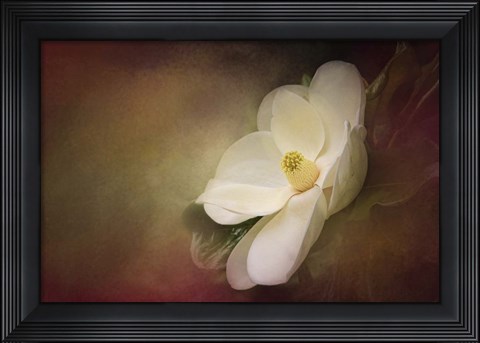 Framed Magnolia In Bloom 1 Print