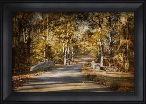 Framed Mingling With Beauty Print