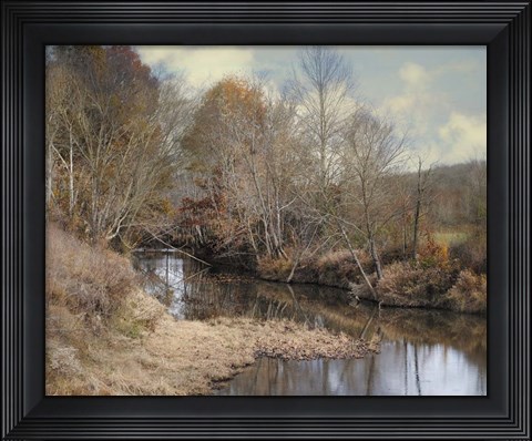 Framed Natures Glory Print