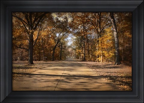 Framed Open For Beauty Print