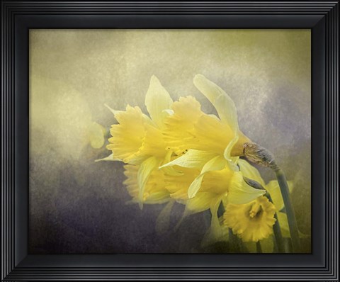 Framed Out Of The Darkness Print