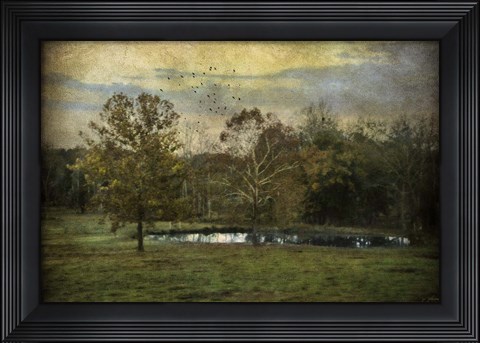 Framed Quiet At The Pond Print