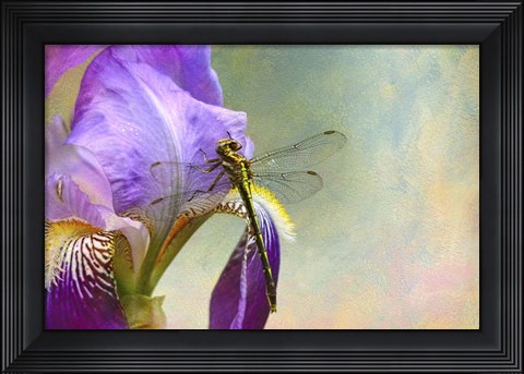 Framed Say Hello To Spring Print