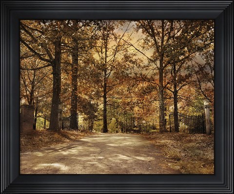 Framed Secluded Entrance Print