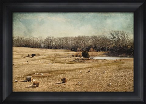 Framed Sheep In The Meadow Print