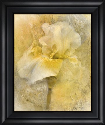 Framed Splash Of Spring Print