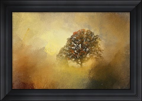 Framed Splendor Print