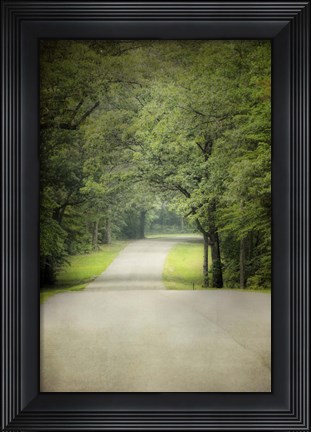 Framed Summer Morning Stroll Print