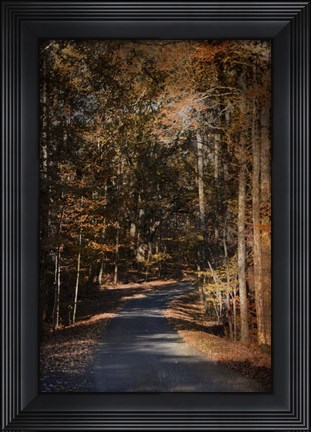 Framed Sunlit Autumn Path Print