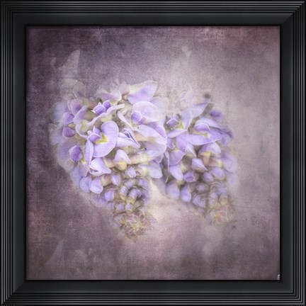 Framed Sweet Wisteria Print