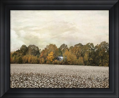 Framed Old Cotton Barn Print