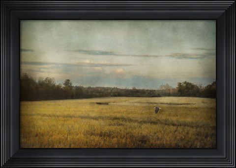 Framed Sunrise Hour Print