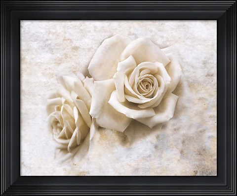 Framed Vintage Rose 4 Print