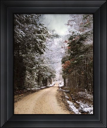 Framed Winter Paradise Print