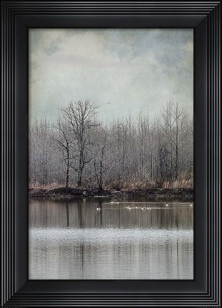 Framed Winter Solitude Print