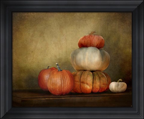Framed Pumpkins Still Life Print