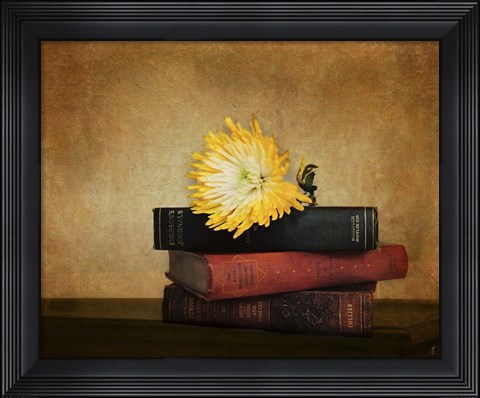 Framed Classics Print