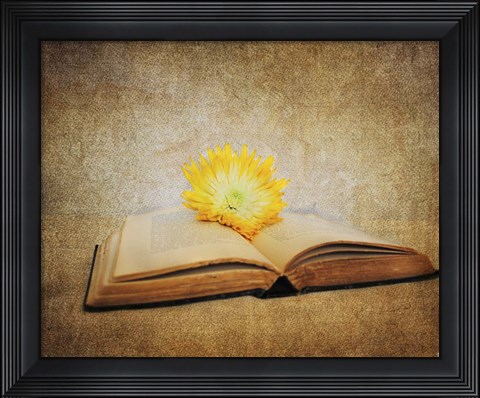 Framed Joy Of Reading Print