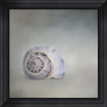 Framed Treasure From The Deep Print