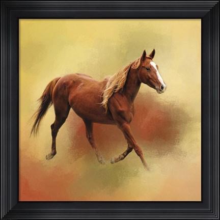 Framed Dash Of Chestnut Mare Print