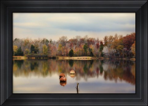 Framed Autumn At Lake LaJoie 3 Print