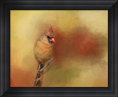 Framed Backyard Jewel Print