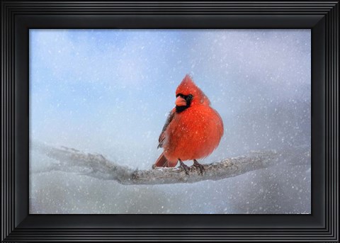 Framed Cardinal In The Snow Print