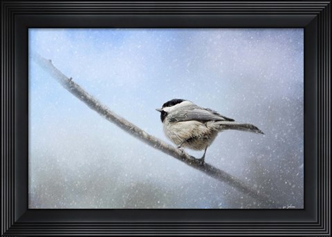 Framed Chickadee In The Snow Print