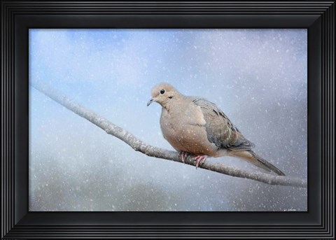 Framed Dove In The Snow Print