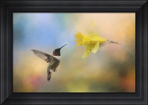 Framed Garden Visitor Print