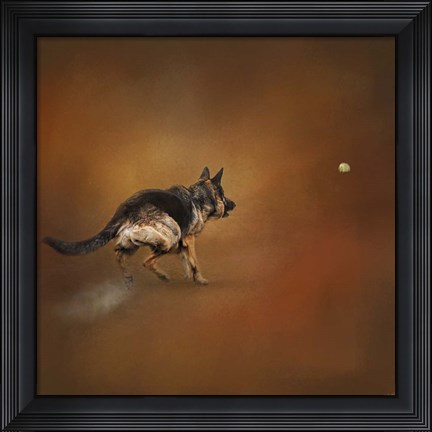 Framed Gimme That Ball German Shepherd Print
