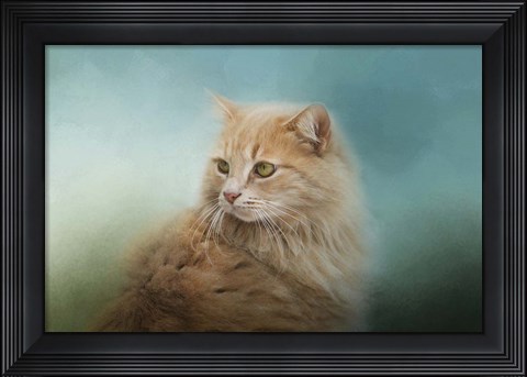 Framed Over Her Shoulder Print