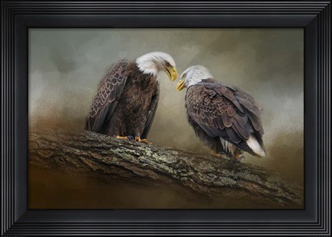 Framed Quiet Conversation Bald Eagles Print