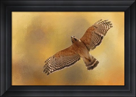 Framed Raptors Afternoon Flight Print