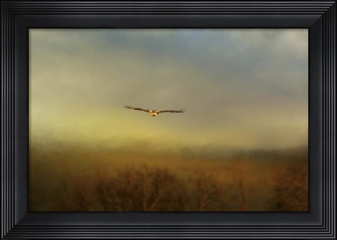 Framed Retreating Redtail Print
