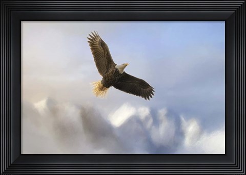 Framed Rise Above Bald Eagle Print
