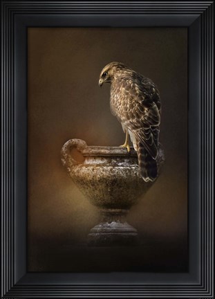 Framed Sacred Moment Print