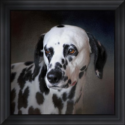 Framed Firemans Dog Dalmatian Print