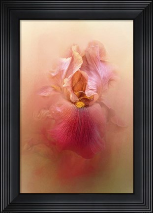 Framed Valentine Iris Print
