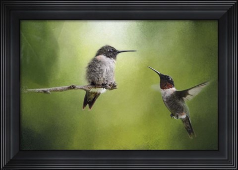 Framed Wake Up Call Hummingbirds Print