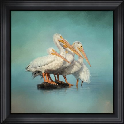 Framed We Are Family White Pelicans Print