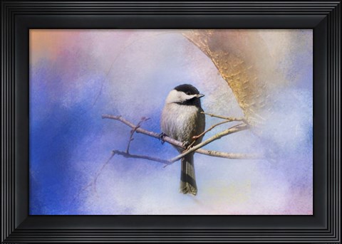 Framed Winter Morning Chickadee Print