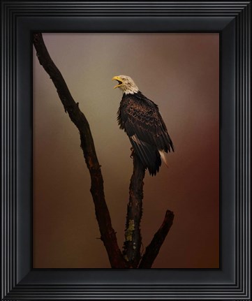 Framed After The Autumn Storm Print