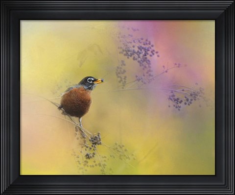 Framed Berries In The Woods Print