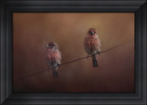 Framed Pair Of Finches Print