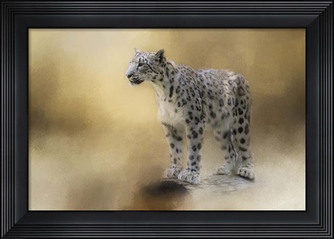 Framed Snow Leopard Print