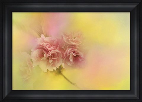 Framed Spring Cherry Blossoms Print